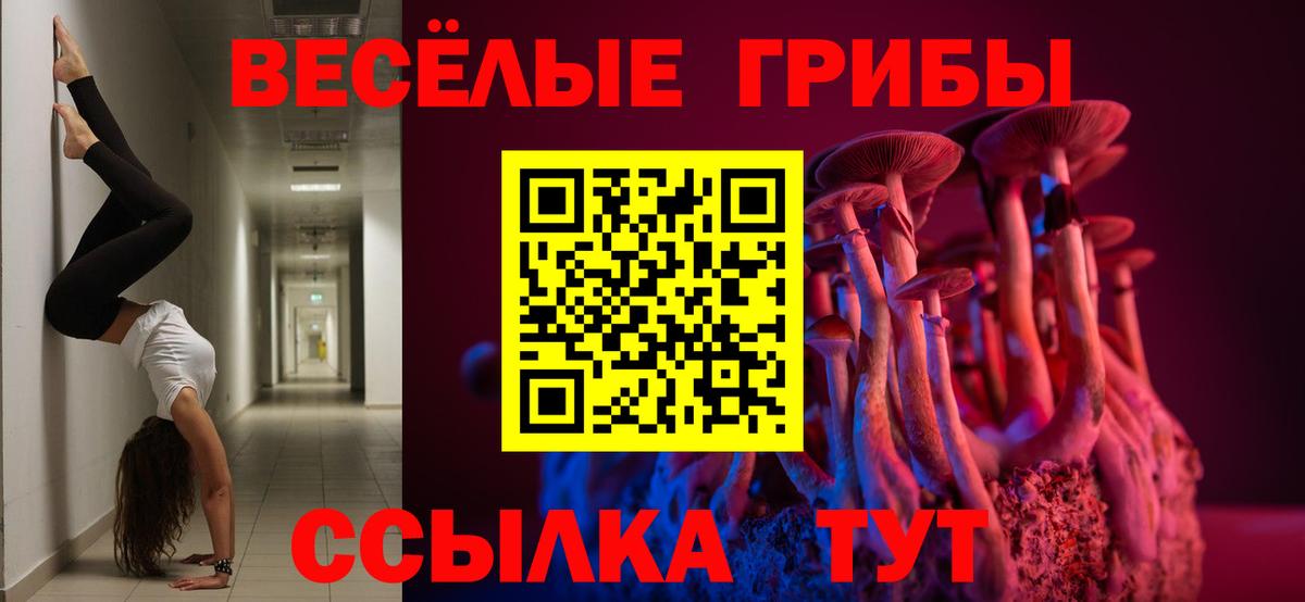 Псилоцибиновые грибы ЛСД  Вход с VPN  Галлюциногенные грибы прущие грибы  Чайковский 